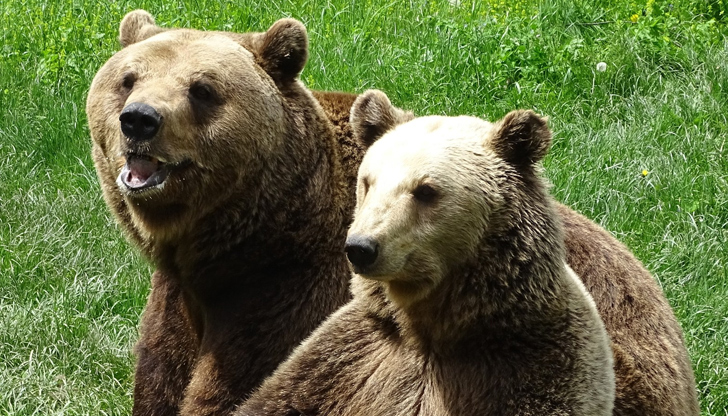 От малка бетонна клетка в Николово до просторен парк в