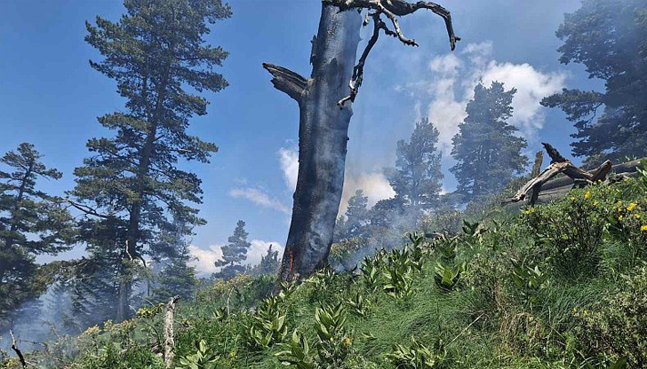 Огънят гори на 2000 метра височина, екипи от ПБЗН и