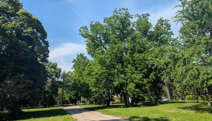 Досега най-горещо на 25 юни е било през 2007 година