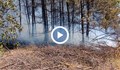 Първа версия за пожара в Николово