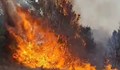 Въведено е частично бедствено положение в Тополовград заради пожар в Сакар