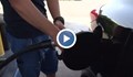 Горивата скачат с 40 стотинки заради заради евродиректива