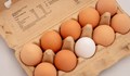 Учени развенчаха стар мит за яйцата и холестерола