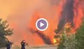 Огнен ад в Пирин: Борове стават на пепел за 20 секунди