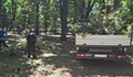 Извозиха 15 тона дървени отпадъци след бурята в Шумен