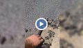 Асфалт се отлепва като дъвка на нов път