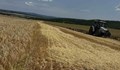 Реколтата в Югоизточна България: Добиви под нормата и загуби за фермерите