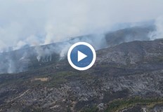 Над 60 хиляди декара са засегнати само за месец залесяването