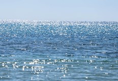 Високите температури създават идеални условия за плуване но предизвикват опасения