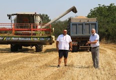 Добивът на пшеница е добър но изкупните цени продължават да