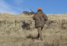 Свидетелските показания потвърдиха липсата на реално ловуванеРайонният съд в Русе