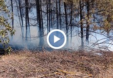 Собственичка на крайна къща близо до гората горила кабелиГолемият пожар