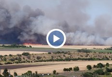 Вятърът разпалва пламъците и затруднява гасенетоПожари избухнаха в четири различни