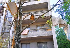 Снимки показват съсечено дърво и разхвърляни отпадъци около сградатаПотресаващи снимки