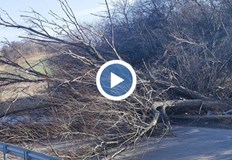 Образували са се опашки в двете посоки на път I 4