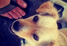 От Codename до Instagram как започна революцията в споделянето