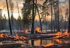 Силният вятър е довел до бързото разрастване на огъня в