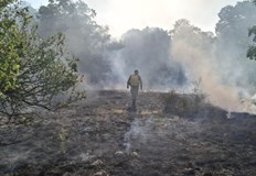 Заплашва помпена станция и детски онкоцентър кметът иска военна помощПожарът