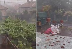 Стихията събори редица клони на дърветаИнтензивна но краткотрайна гръмотевична буря