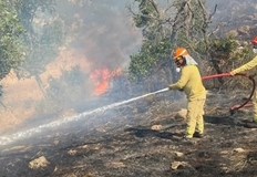 Над 20 турски огнеборци се включиха в борбата със стихията