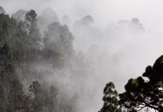 Движението на огъня към България е спряноМащабен горски пожар бушува