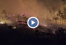 Огънят обхвана над 200 декара гораГолям горски пожар продължава да