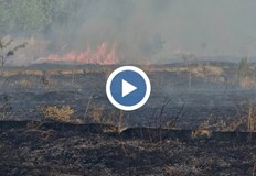 Евакуираха хора от три села няма пострадалиПожарът в Трънско достигна