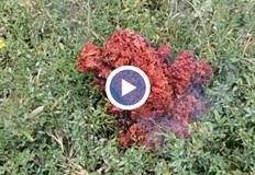 БАН потвърди че странното червено вещество е останка от система