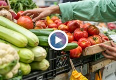 Експерти посочват възвръщането на ДДС и повишените заплати като основни