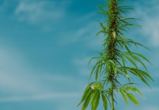 Образувано е досъдебно производство срещу 62 годишния собственик на имотаРазследване за