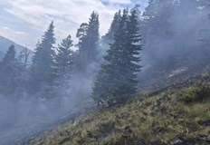 Екипи с резачки разцепват тлеещи огромни дънери при рискови условияОгнеборци