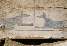 При разкопките са намерени стотици артефактиИзключително рядко археологическо откритие в