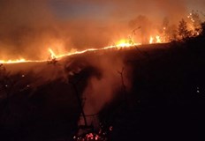 Търсят се добре екипирани доброволци за борба със стихиятаГолям пожар