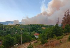 Четири пожарни автомобила се борят с пламъците които обхванаха района