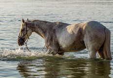 Облекчение идва в края на месецаДнес на празника Илинден времето