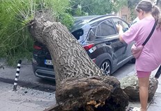 Инцидентът е станал до централната поща в градаГолямо дърво се