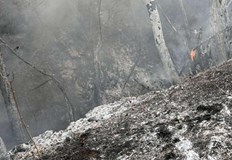 Огнената стихия засегна селата Опицвет Безден и Богьовци движи се