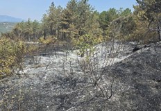 Кметът благодари на спасителите огънят продължава разширението към село ЛиляновоДългочаканият