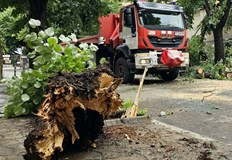 През изминалото денонощие екипите на РДПБЗН са реагирали на два