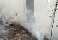 Областният управител Георги Динев е активирал системата за ранно предупреждение