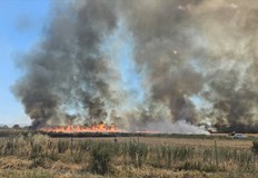 Пламъците се приближават към пътното платно камиони спират в аварийната