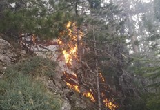 Периметърът на пламъците се е разширил на северСитуацията с големия