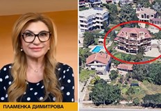 BIRD Пламенка Димитрова спечели 26 милиона лева от обществени поръчки