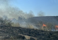 Огнеборци се борят пламъците да не достигнат до близките постройкиГолям