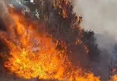 Огънят се разпространи от село Владимирово към Орлов дол населението