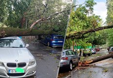 Код червено скорост на вятъра до 90 км ч полети пренасочени