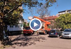 Екипи на Паркстрой и Вектор работят по сигнали от граждани