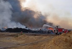 Пламъците са засегнали над 30 декара от територията на централатаПожар