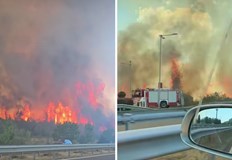 Огнеборците успяха да спасят бензиностанция но пожарът се разпростира към