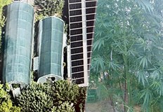 Открити са марихуана екстази и професионално оборудванеГлавна дирекция Борба с